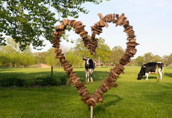 Tinyhouse De Woord Corle