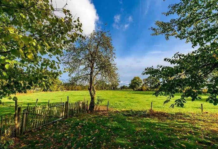 Tinyhouse De Woord Semesterbostad Corle
