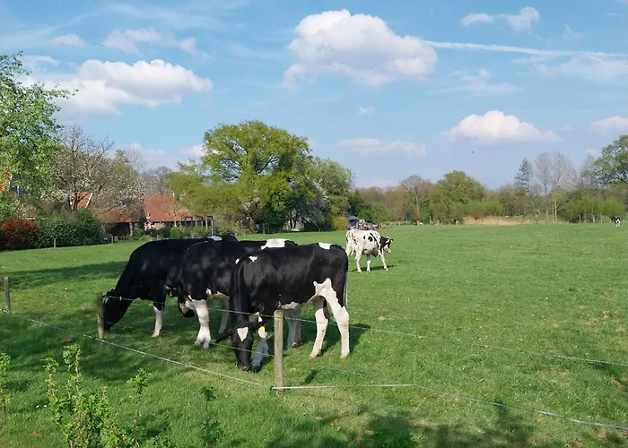 Tinyhouse De Woord Semesterbostad Corle