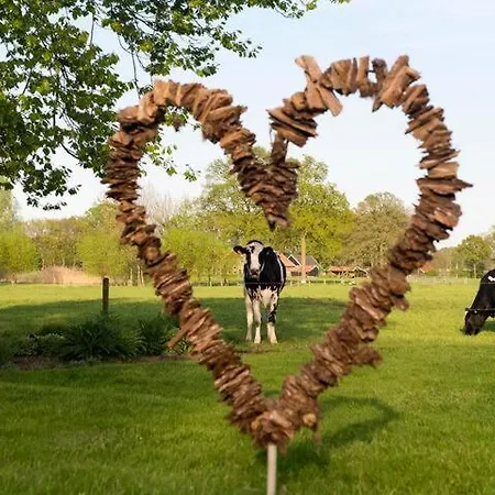 Tinyhouse De Woord Corle