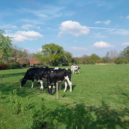 Tinyhouse De Woord Сasa de vacaciones Corle